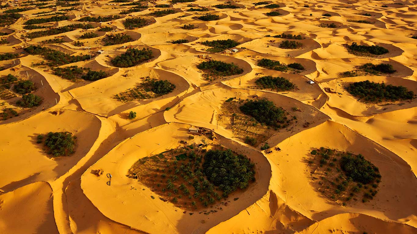 The Beauty Sahara Desert
