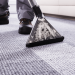 Why should you take professional carpet cleaning services