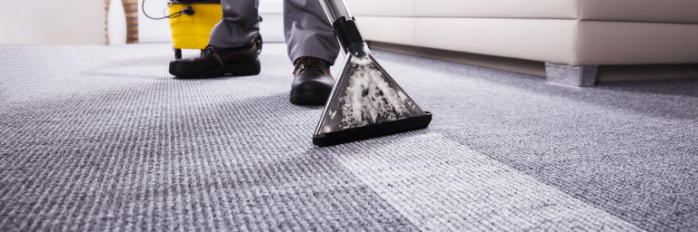 Why should you take professional carpet cleaning services