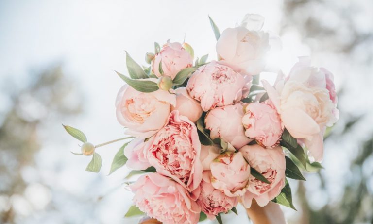 Get a beautiful peony bouquet in Singapore