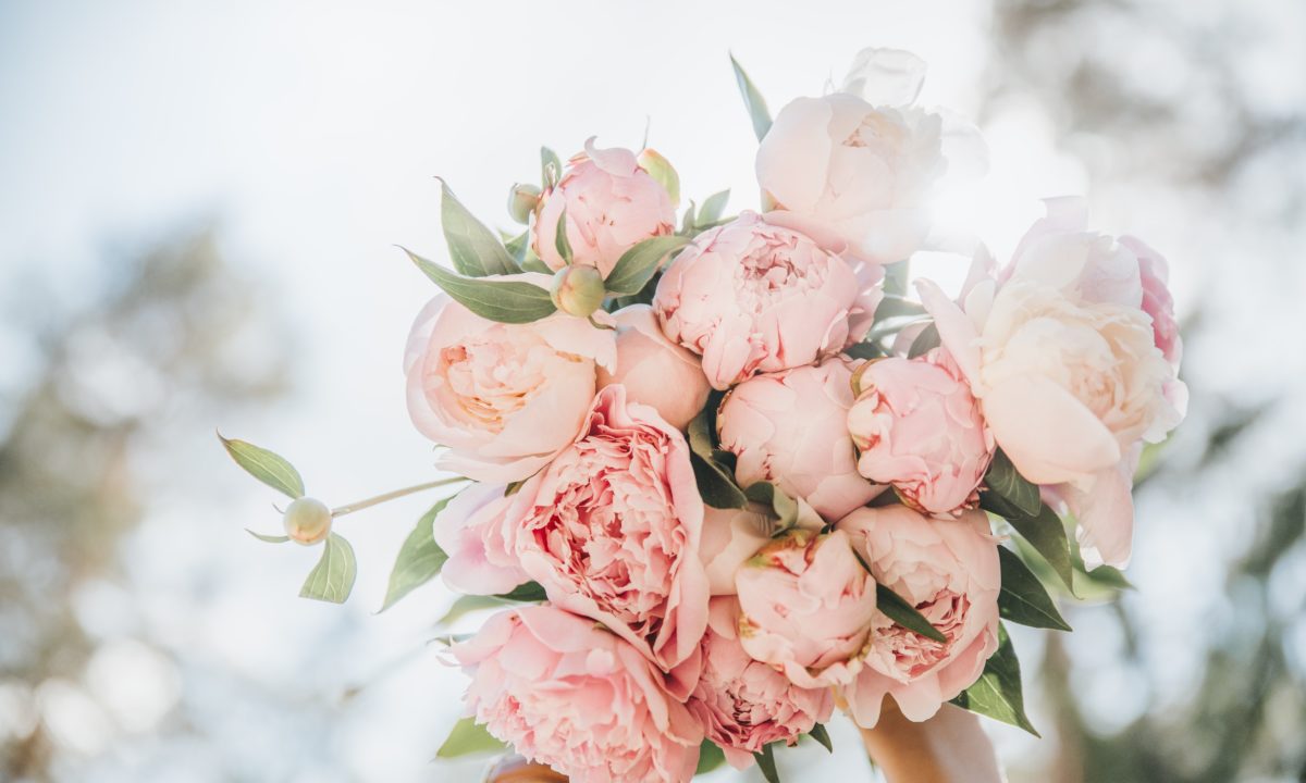 Get a beautiful peony bouquet in Singapore