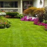 Designing a Landscape: 10 Tips and Tricks
