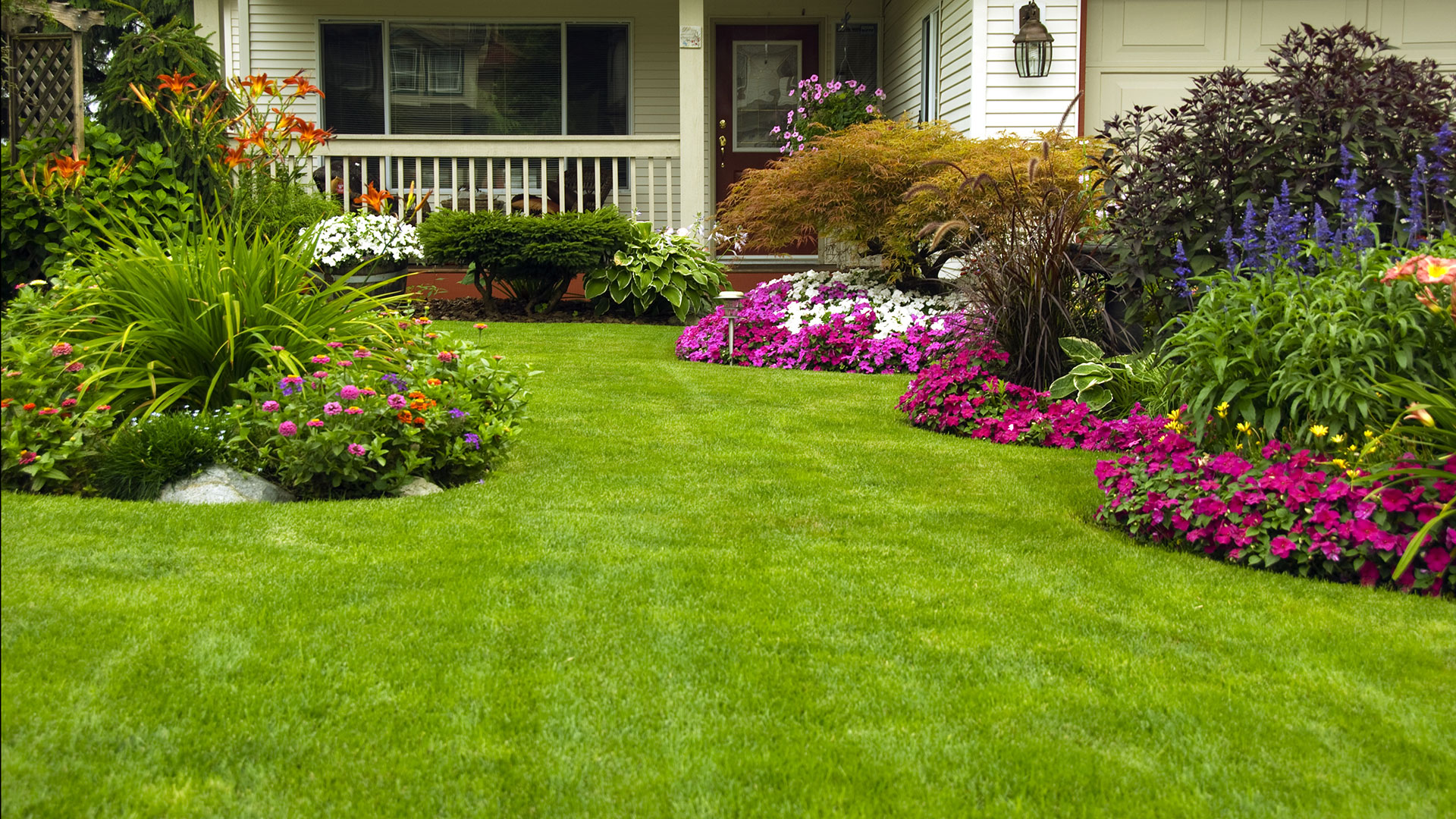 Designing a Landscape: 10 Tips and Tricks