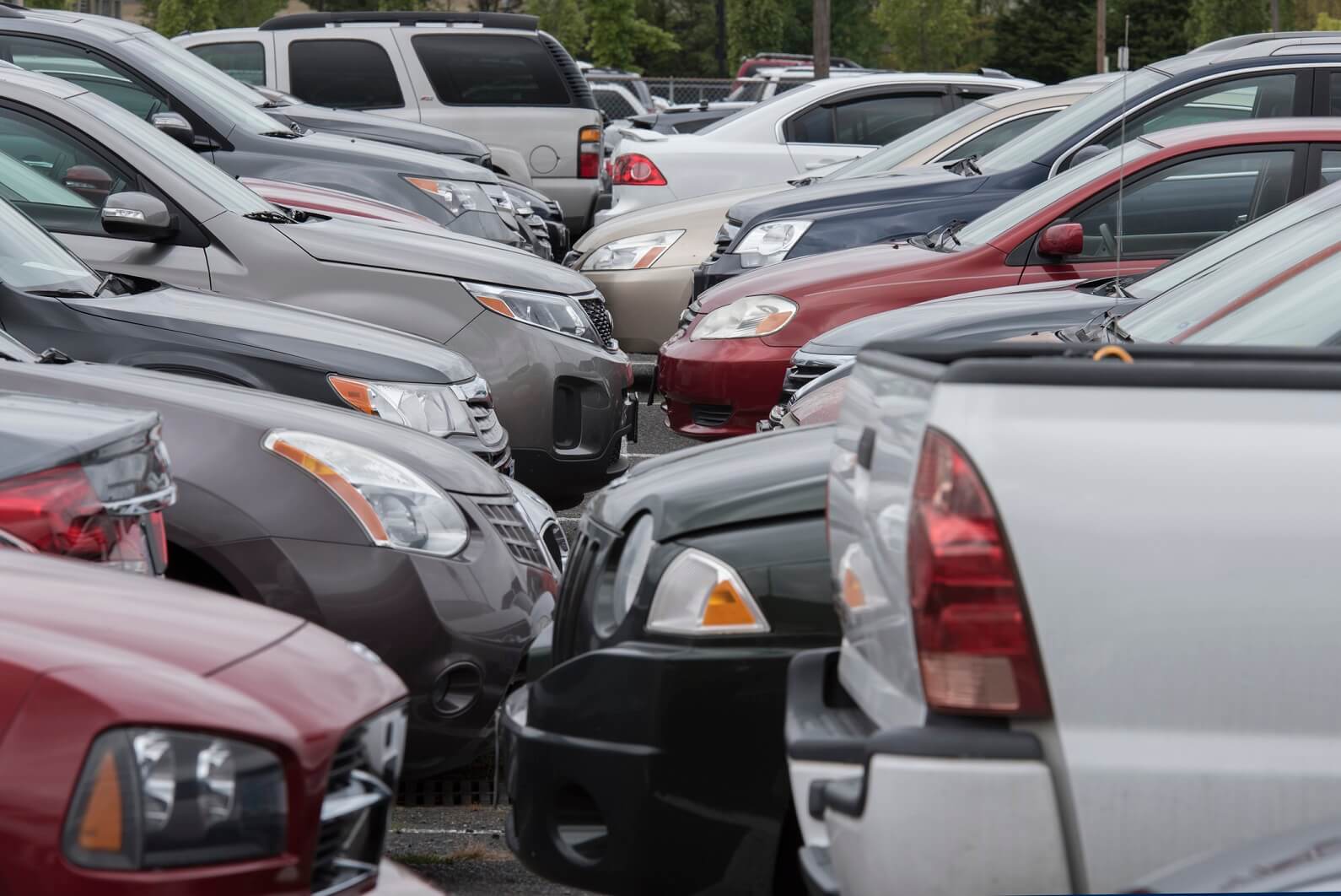 car selling dealerships in big cities